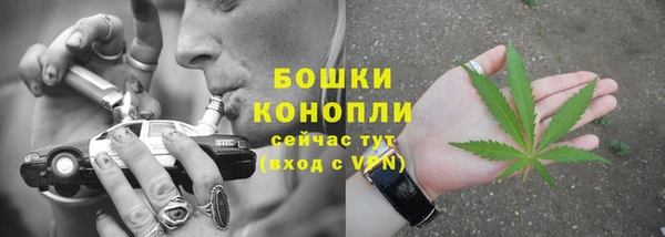 гидра Козельск