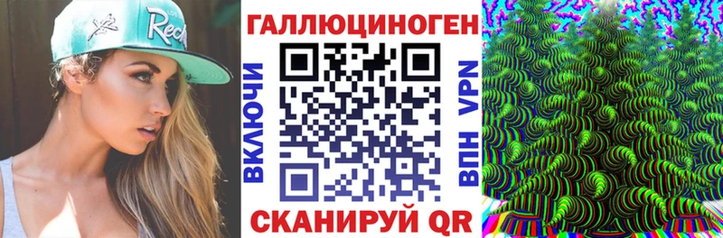 Псилоцибиновые грибы Psilocybe купить закладку Бор